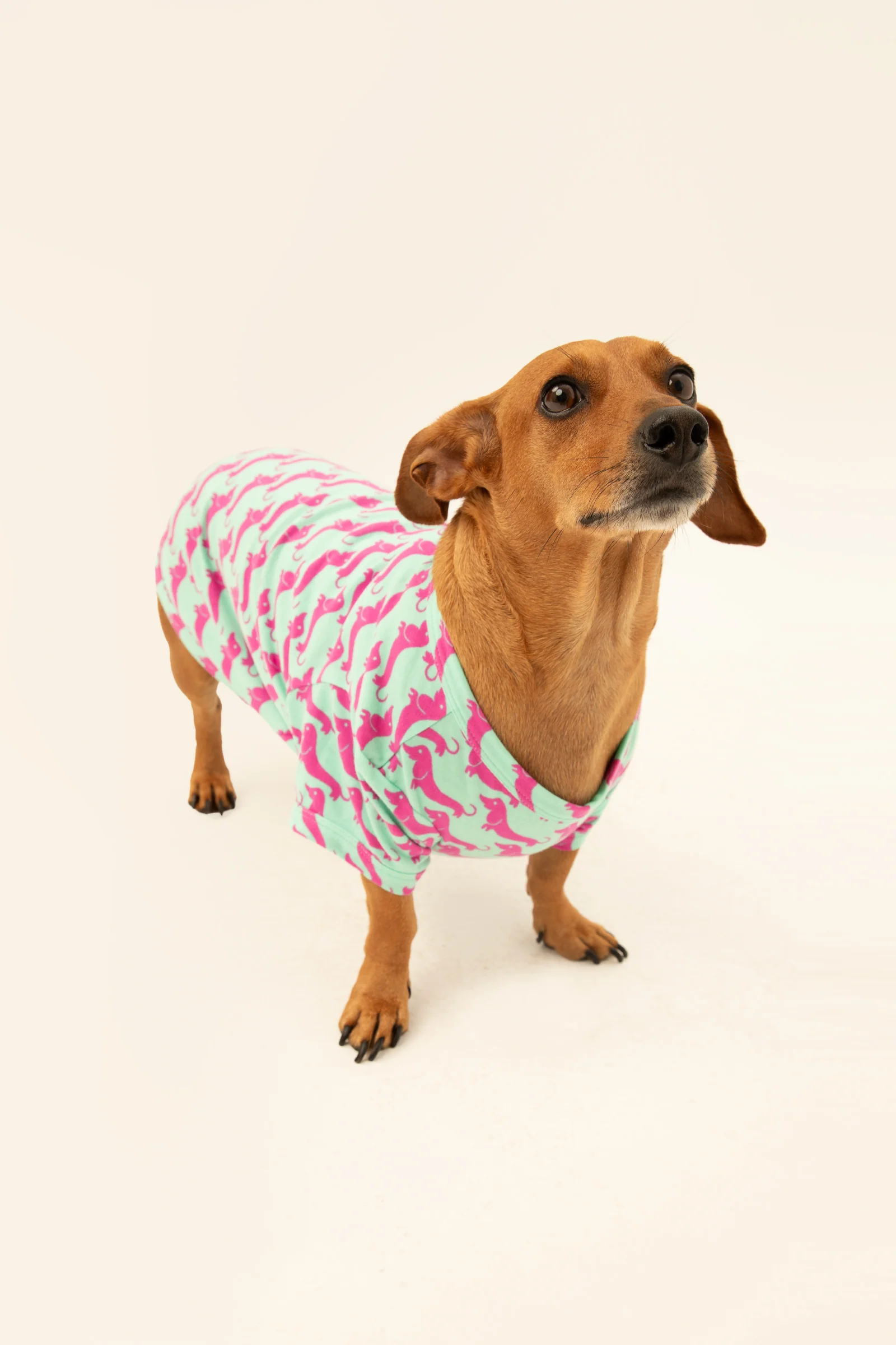 Dog Walk Jersey Pet Pajama Shirt - Image 3