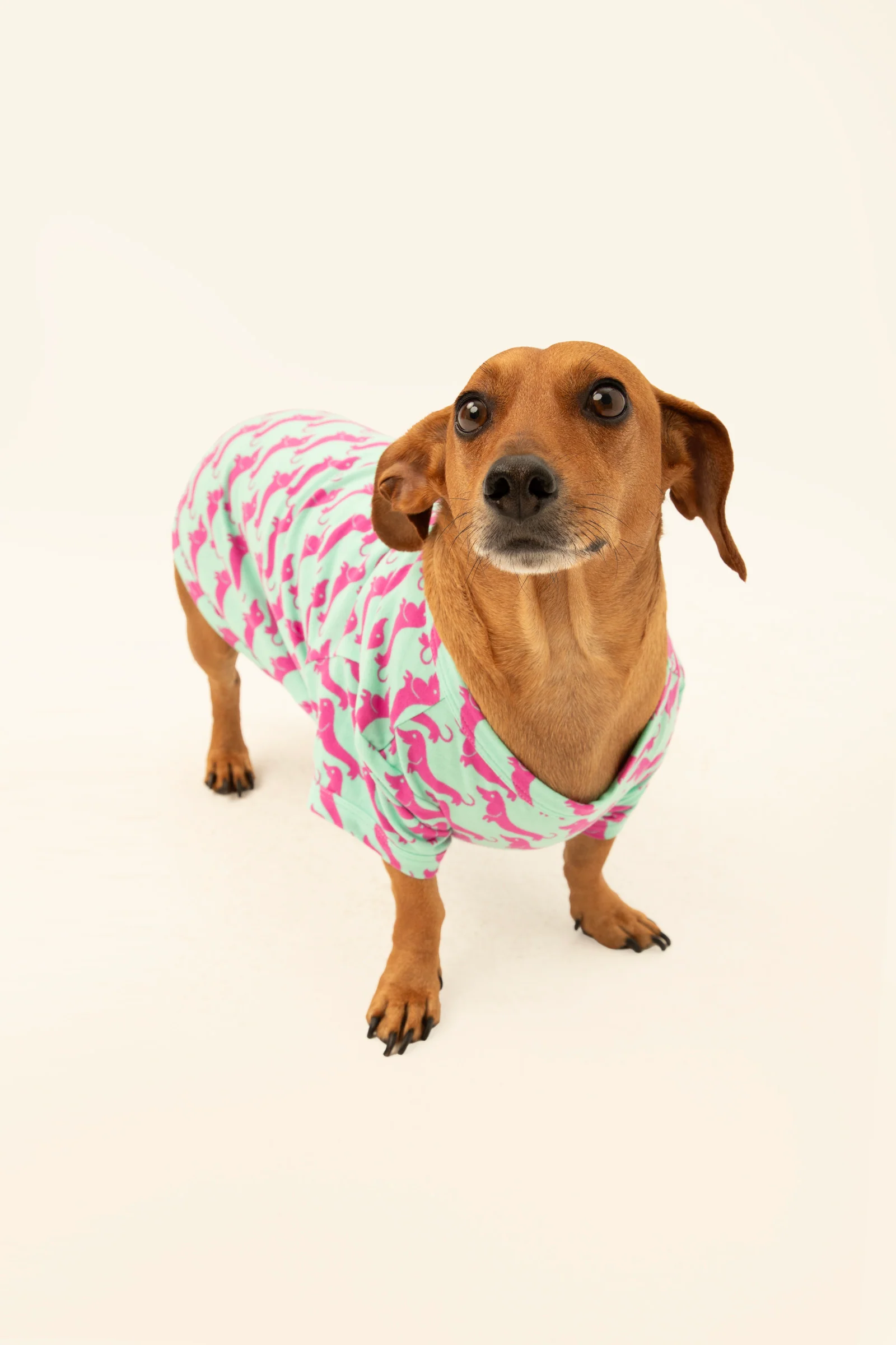 Dog Walk Jersey Pet Pajama Shirt - Image 4