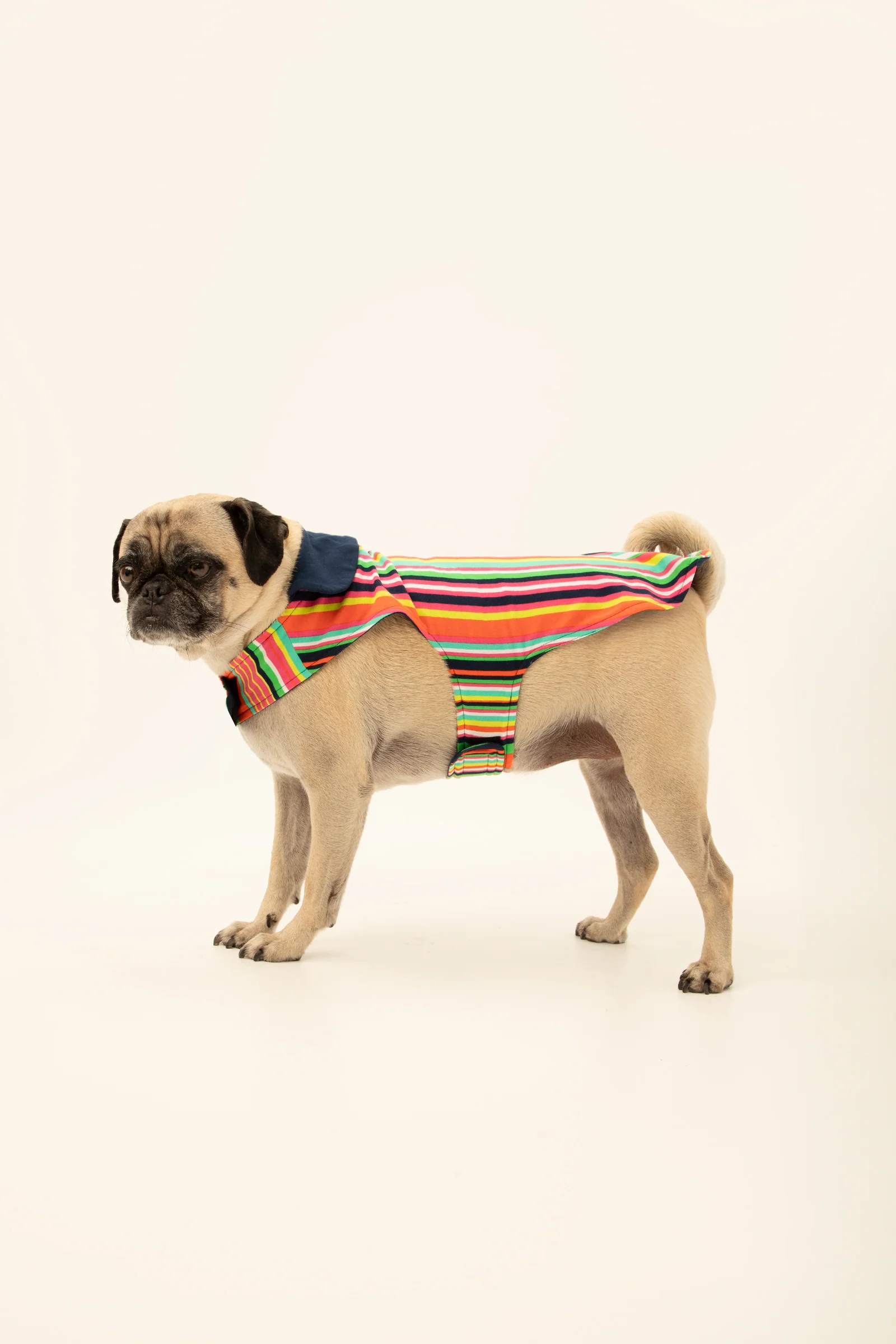 Stripe Lined Pet Pajama - Image 3