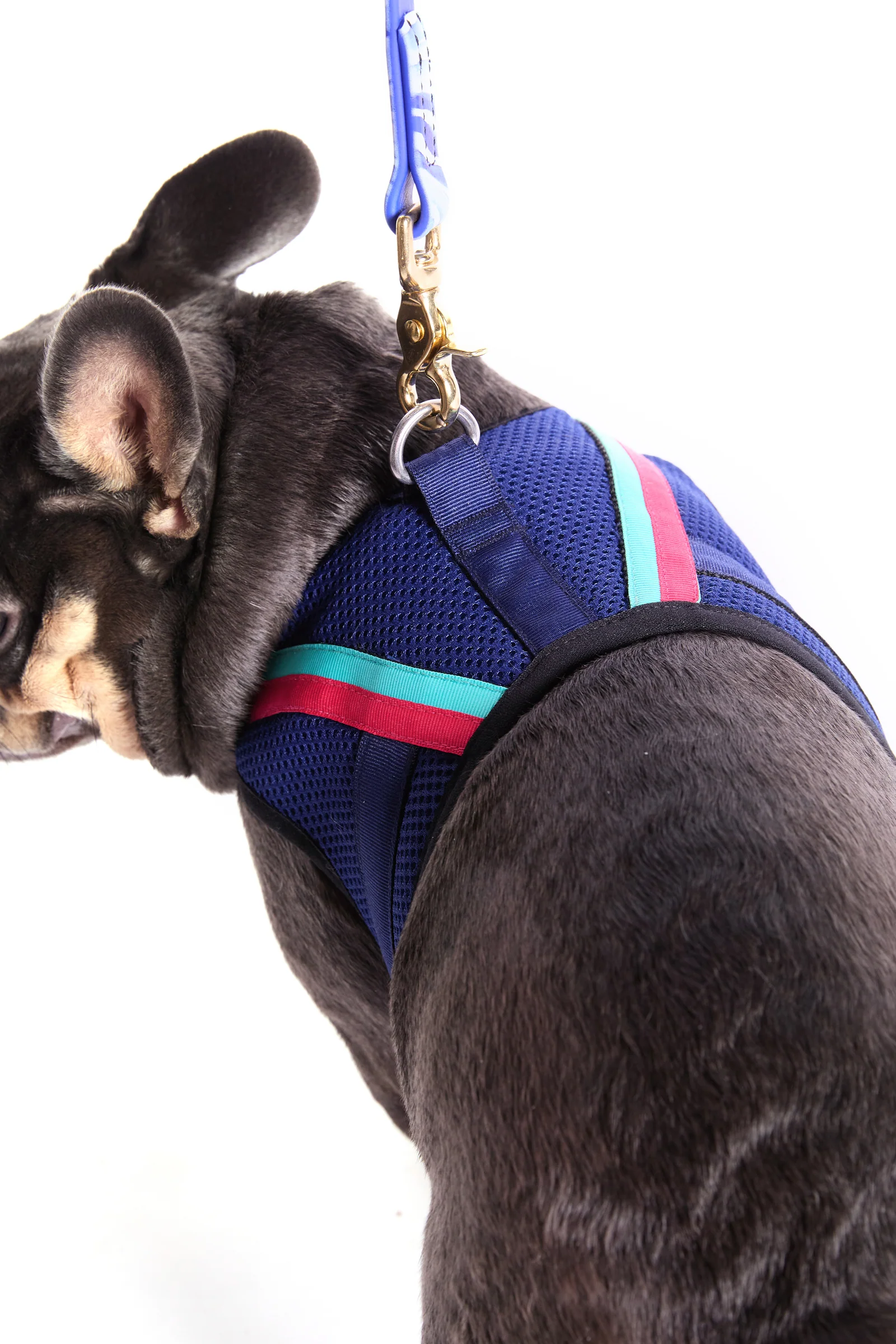 Trina Turk X K9 Harness - Image 4