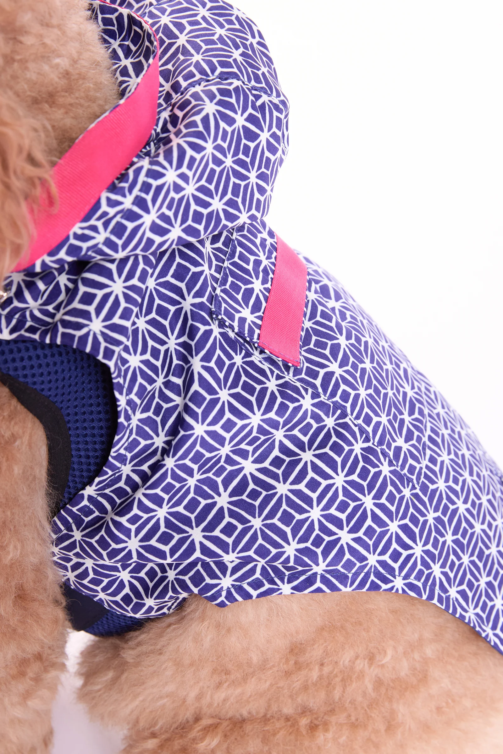 Trina Turk X K9 Dog Raincoat - Durell - Image 3